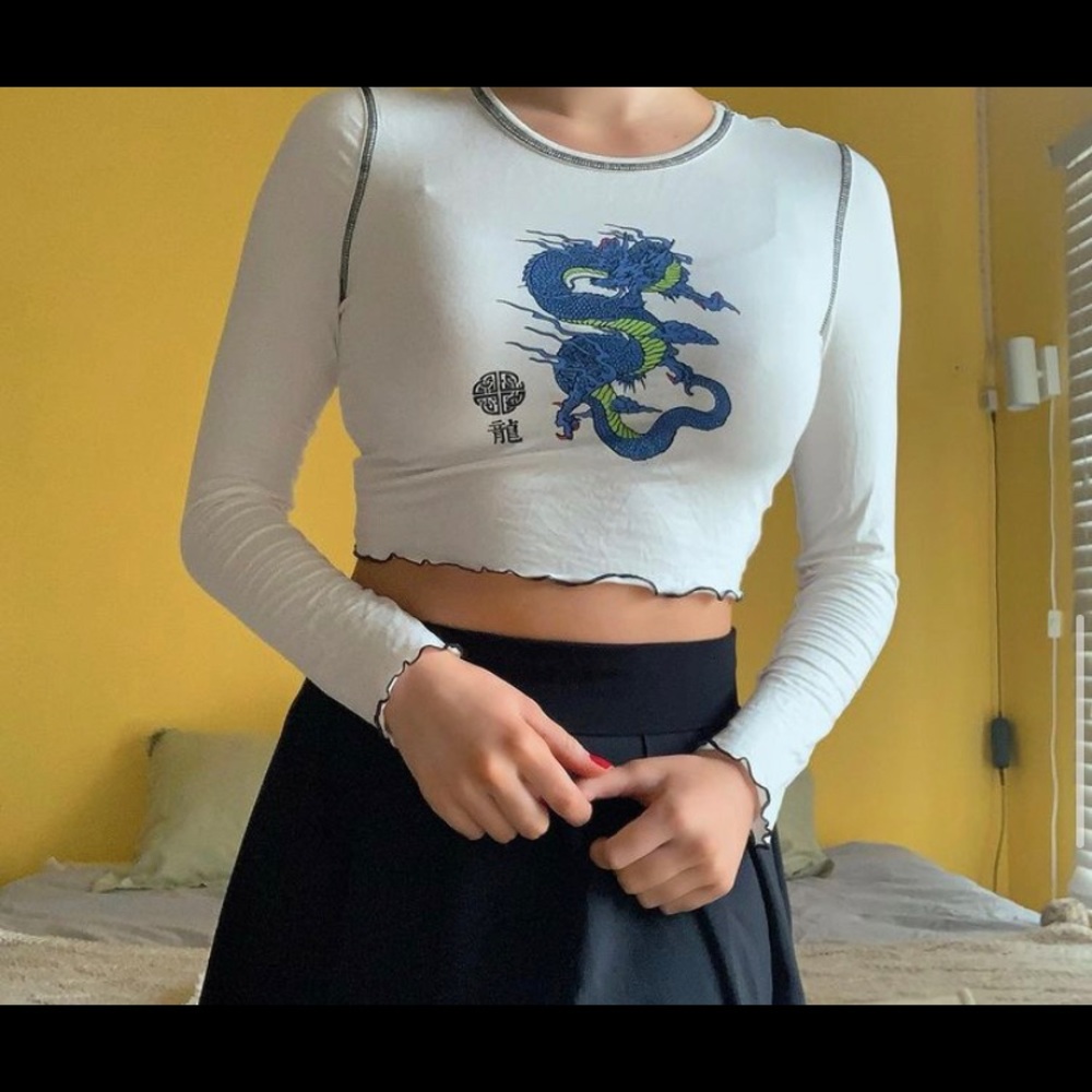 Shein cropped Dragon longsleeve